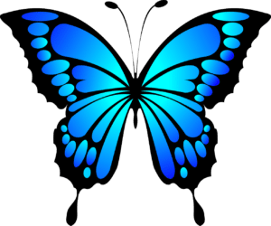 Caterpillars to Butterflies logo